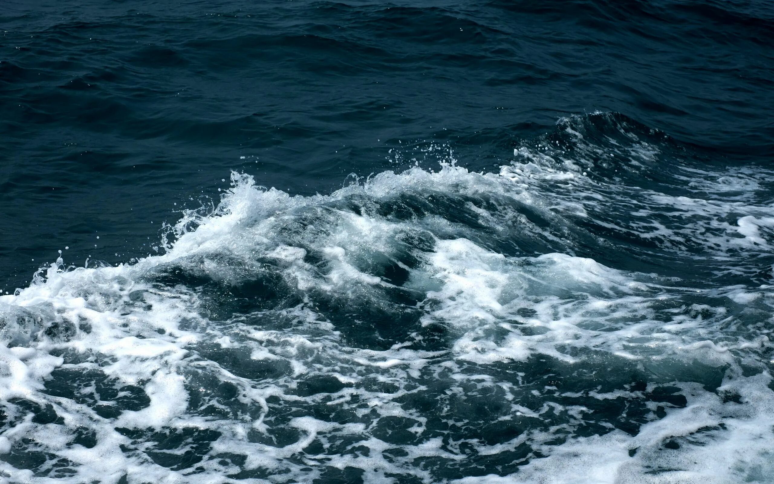 Torn seas