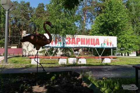 Зарница березовский