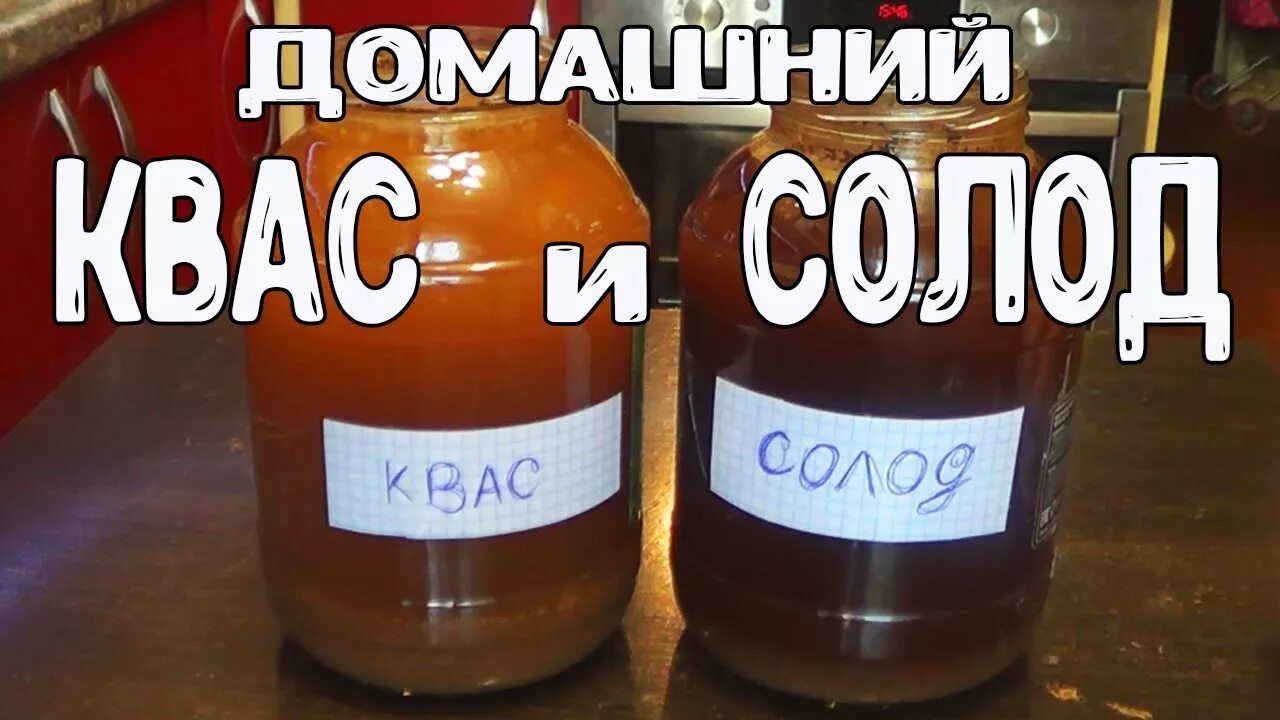 Как сделать домашний квас из сухой закваски. Солод для кваса. сухой квас.