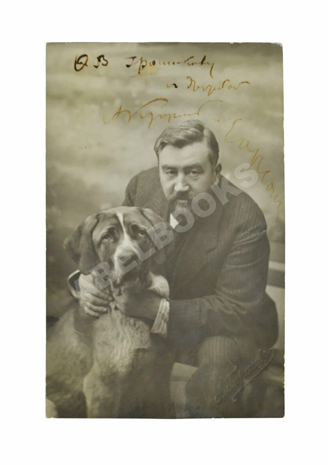 Рассказы куприна про собак сапсан. Куприн александр иванович sobaki. Куприн александр иванович сапсан. Куприн сапсан иллюстрации. Куприн сапсан.