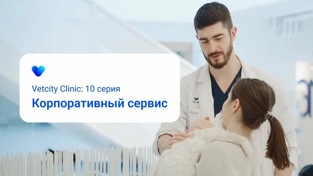 Ветсити. Ветсити центр ветеринарная. Москва Зубарев переулок 7 vetcity Clinic. Vetcity clinic москва