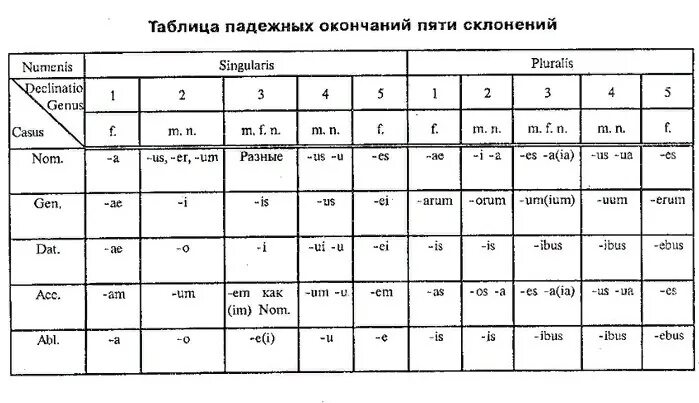 Мыт латынь