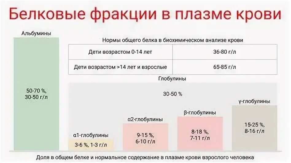 Методики определения общего белка в сыворотке. Что означает пониженный общий белок. Что означает пониженный общий белок. Общий белок референсные значения. При ангине лимфаденит у детей.