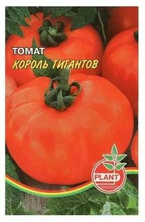Король гигантов