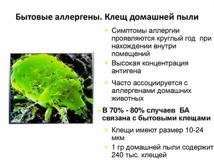 Аллергия на домашнюю пыль