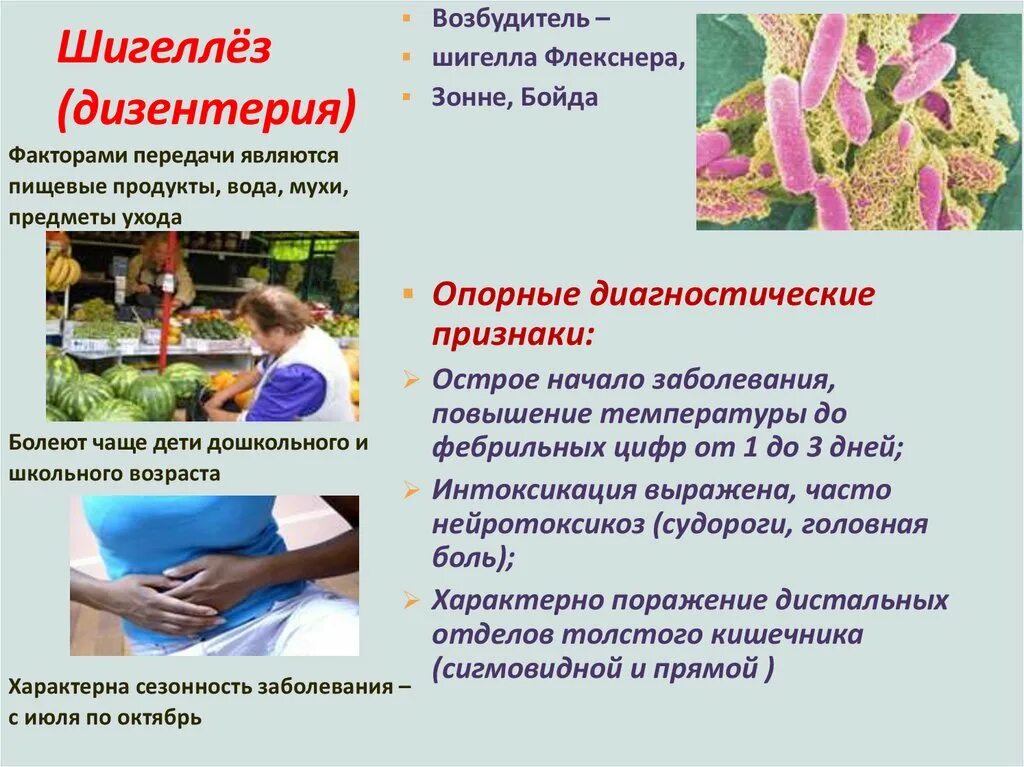 Дизентерия возбудитель пути передачи. Шигеллез эпидемиология. Амебиаз факторы передачи. Дизентерия профилактика заболевания. Презентация на тему дизентерия.