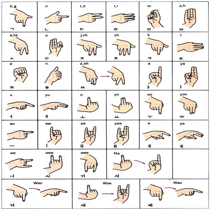 Алфавит корейский жестовый язык. Алфавит глухонемых корейский. Корейский язык жестов для глухонемых. Жестовый язык глухих Корея. Глухой на английском