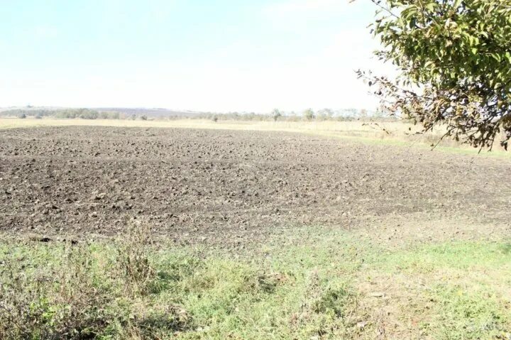 Село Казинка Ставропольский край Андроповский район. Село Казинка Ставропольский край Шпаковский район. Шпаковский район Ставропольский край Казинка пруд. Ставропольский край Шпаковский район Казинка водоём. Казинка ставропольский край андроповский погода