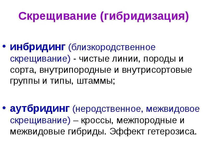 Гибридизация близкородственная(инбридинг). Гибридизация это скрещивание. Гибридизация в селекции. Инбридинг растений примеры. Инбридинг 2 аутбридинг