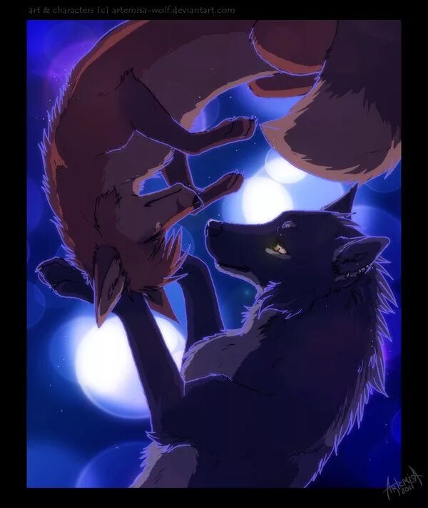 Фикбук волк. Azzai wolf fox любовь. волк и лиса арт.