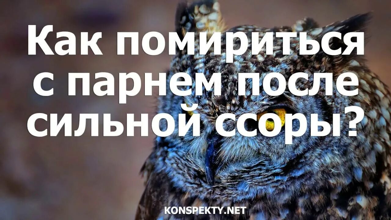 Как помириться с подругой после сильной. Как помириться с парнем после сильной ссоры. Помириться с женой. Помириться с женой после ссоры. Как помириться с женой после сильной ссоры.