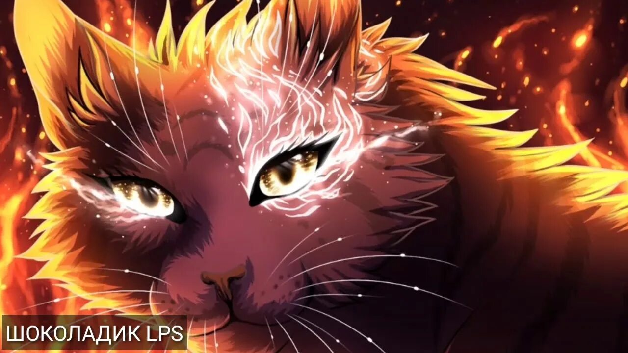 Cat edits