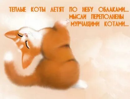 Мысли переполнены мурчащими котами текст
