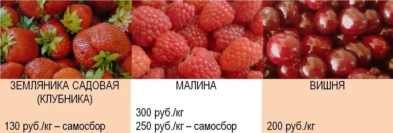 Плодовая орел. Плодово-Ягодная станция Орел. Клубника самосбор Калининград 2022. Самосбор малины Уфа. Самосбор клубники в Краснодарском крае в 2021.