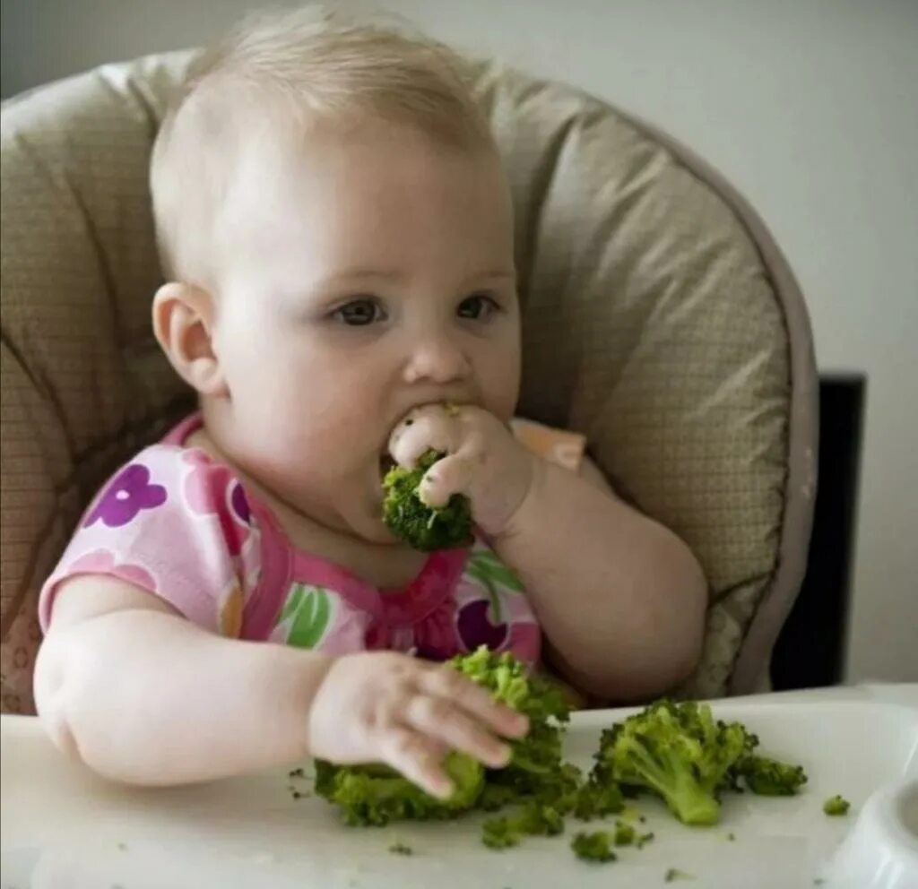 Из любого ребенка можно. Еда для маленьких детей. Прикорм младенца. Овощи для грудничка. Первого прикорма ребенка.
