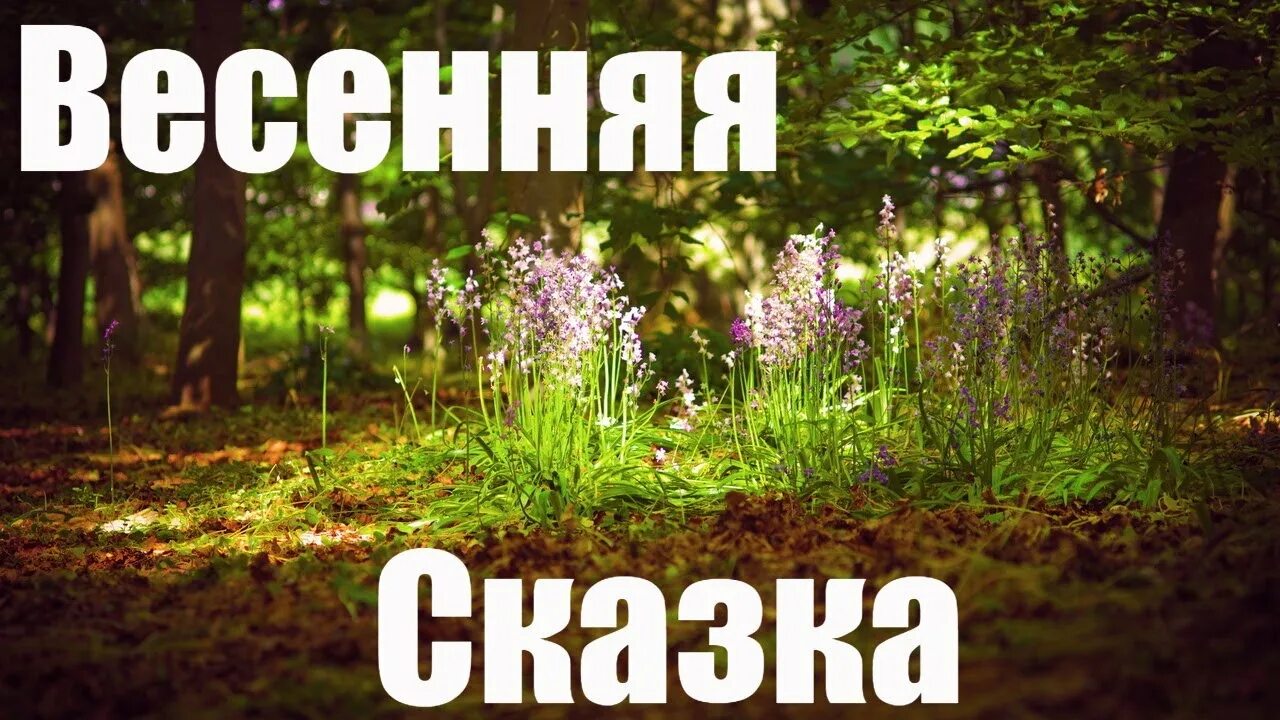 Весенняя сказка. Весенняя сказка надпись. Весенняя сказка Козлова. Козлов весенняя сказка