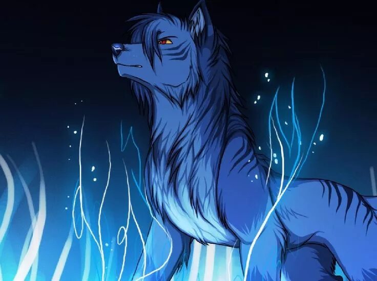 Волк. Синий волк. Японский художник kentaro nishino. Волки арты. Голубой волк с крыльями.