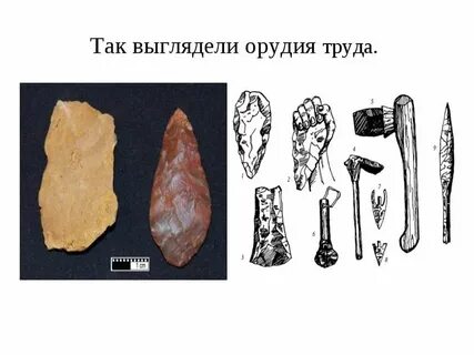 Австралопитек орудия труда