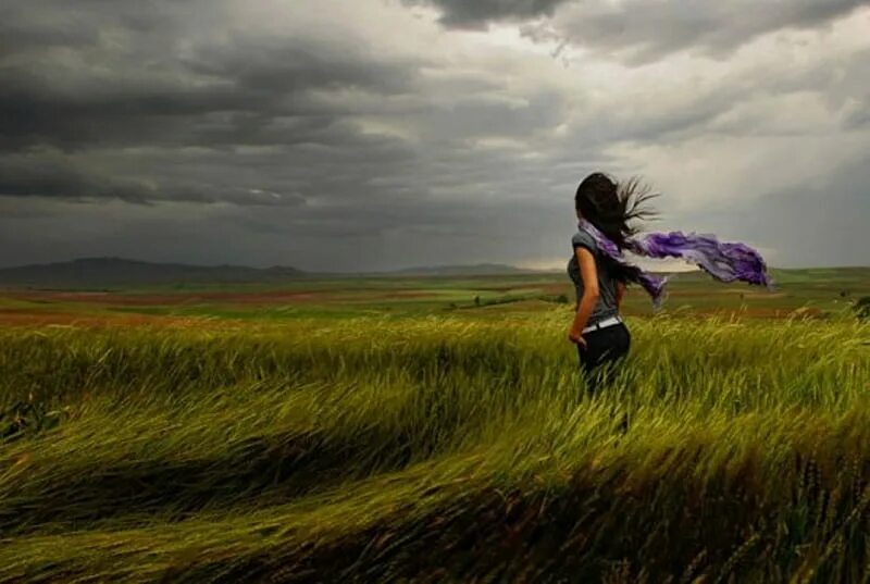 Something in the wind