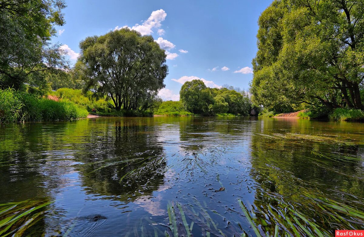 река лужа в малоярославце. река лужа. река лужа калужская область малоярославецкий район. река лужа. шмея река калужская область.
