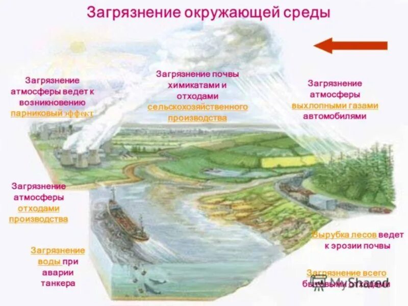 Влияние загрязнителя окружающей среды на окружающую среду. Влияние загрязнения окружающей среды на человека. Загрязнение окружающей среды схема. Влияние выбросов на окружающую среду. Как загрязнение влияет на окружающую среду