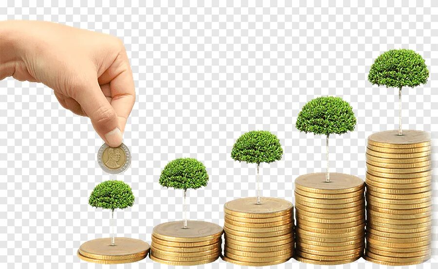 Акционерное финансирование инвестиций