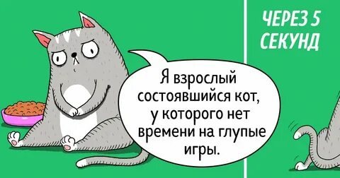Кот на мове