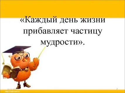 Частичка мудрости