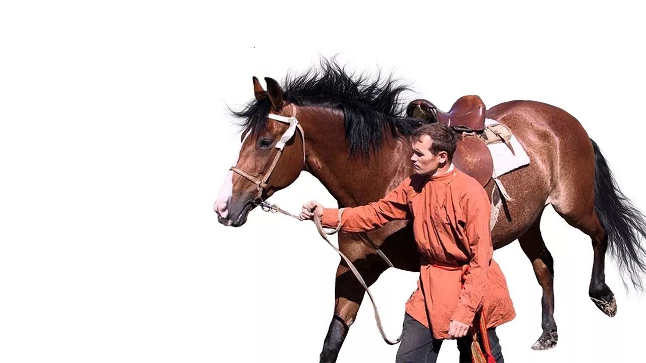 На коня слушать. Расторгуев конь. lil nas x на коне. электрики на конях. old town road танцует на лошади.