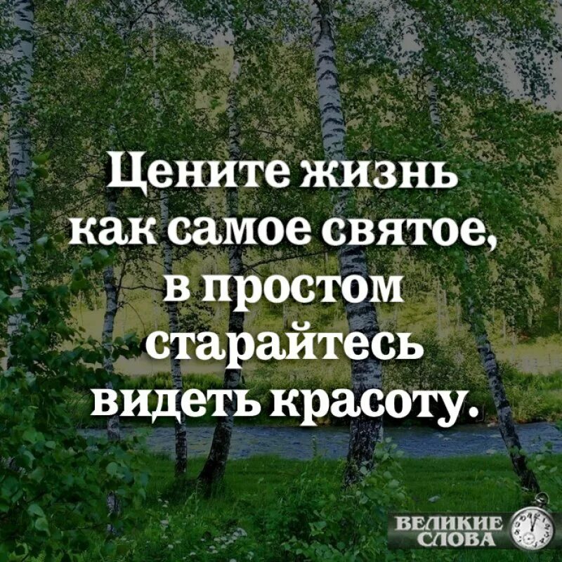 Чем проще было что он видел. Цените жизнь. Цени жизнь цитаты. Цените жизнь цитаты. Цени жизнь.