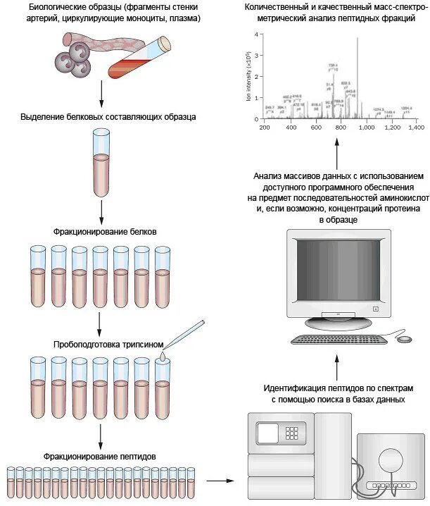 Как использовать mass. Как использовать mass