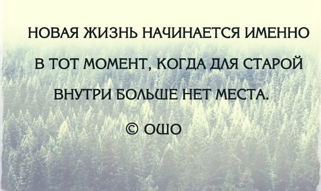 Умейте прощать. Начиная новую жизнь цитаты. Умей прощать цитаты. Цитаты про начало новой жизни.