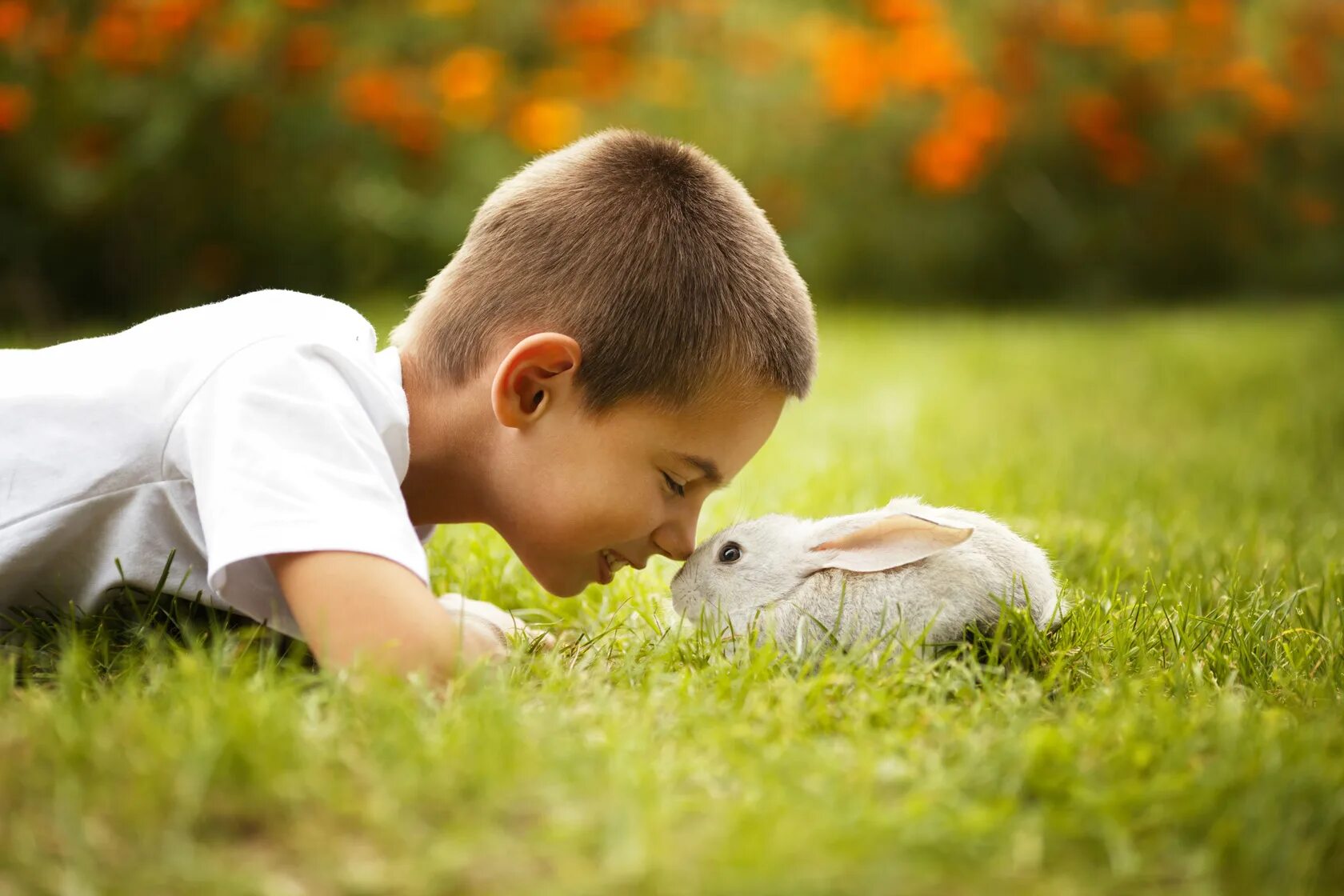 Общение с окружающим миром природой. Дети и природа. Человек и природа. Кролик мальчик. Любовь к природе.