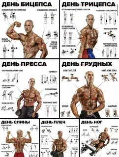 Каждый день группа мышц