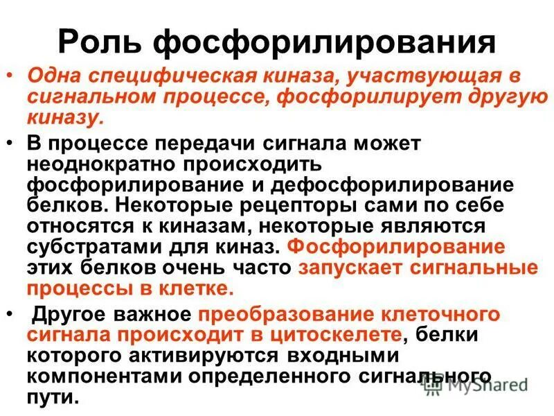Общая реакция окислительного фосфорилирования. Фосфорилированием называется процесс. Фосфорилированием называется процесс. Процесс фосфорилирования. Окислительное фосфорилирование схема реакции.