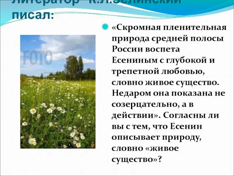 Средняя полоса России текст. Природа средней полосы России вроде проста текст. Доказать что Есенин писал о природе словно живое существо. Как с. а Есенин описывает природу в рассказах.