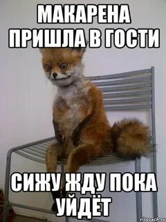 Гуф сижу на полу жду когда выйдет