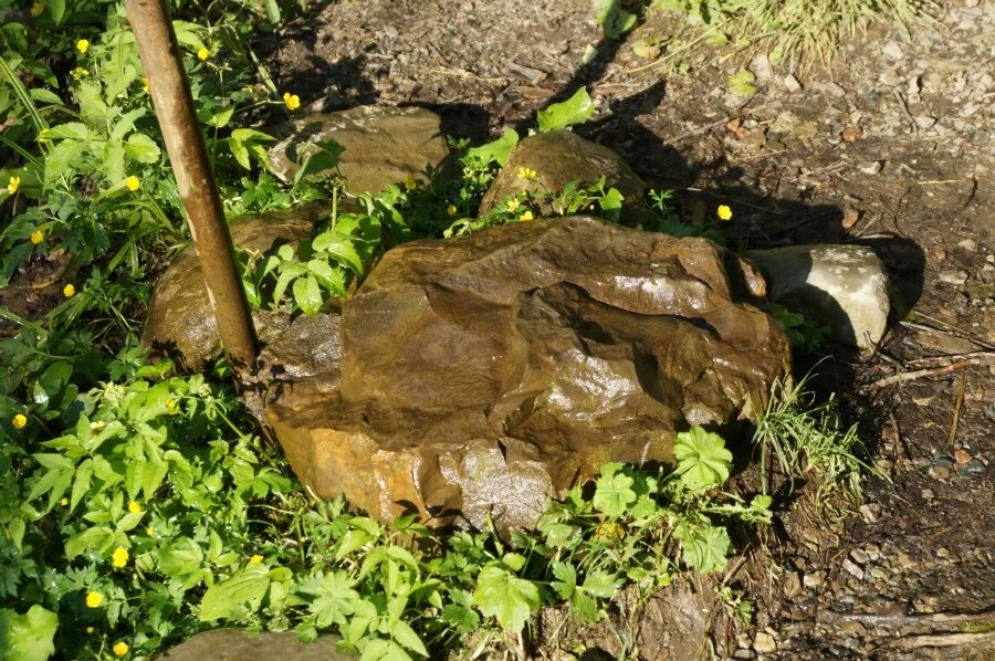 Часовня старца филиппа луганского. Могилы ключик кибелек. Старинный надгробный камень. Часовня старца филиппа луганского. Окаменевшее дерево в часовне филиппа в луганске.