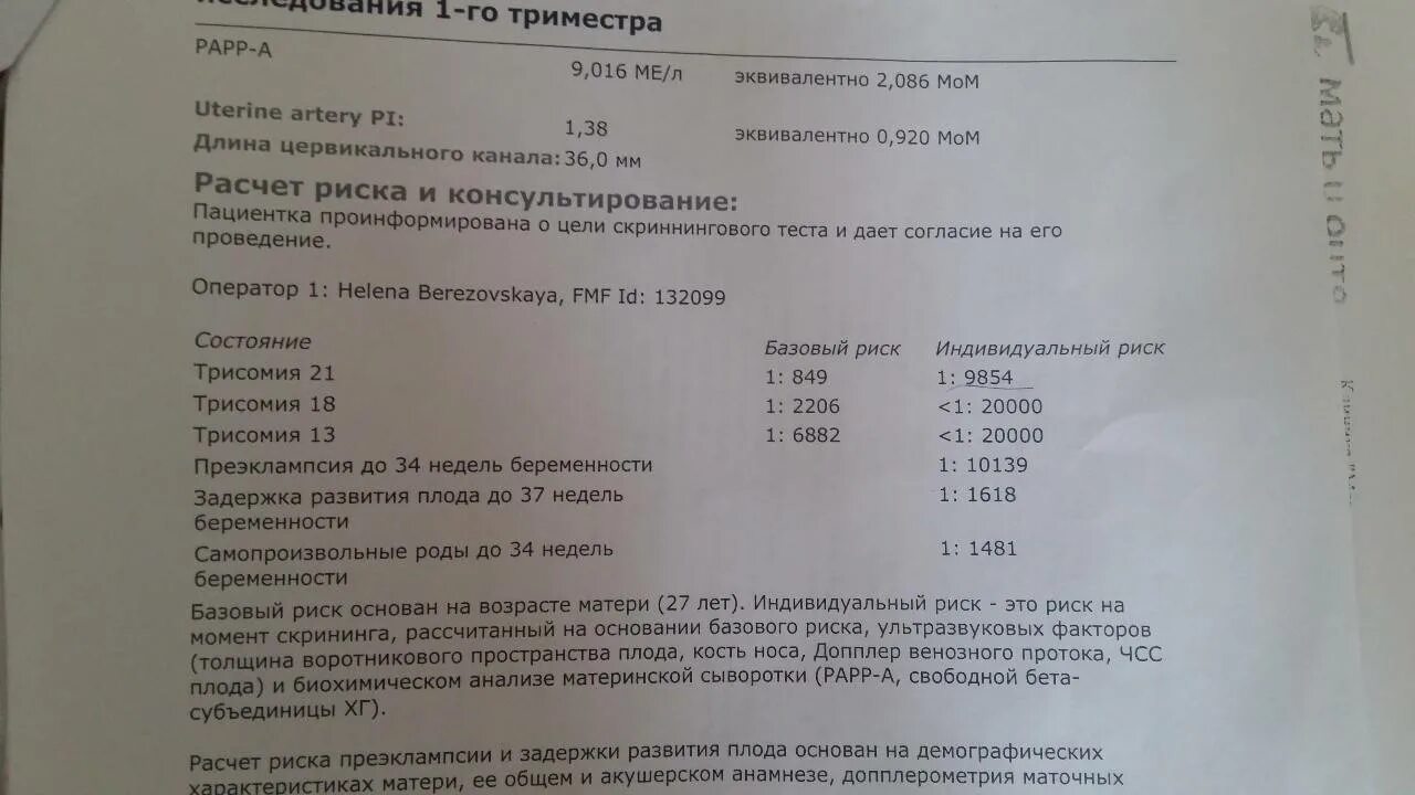 Сердцебиение 14 недель. ХГЧ И РАРР-А норма при беременности 12 недель. Норма РАРР-А на 12 неделе беременности. РАРР-А норма в 13 недель. Показатели 1 скрининга беременности норма.