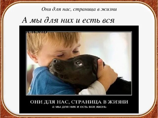 Лишь страниц. Они для нас страница в жизни а мы для них и есть вся. они для нас станица в жизни. собаки для нас страница в жизни. для животных мы вся жизнь.