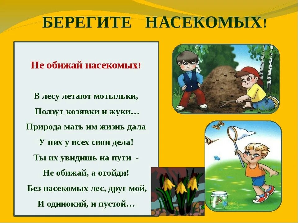 Охрана природы весной. Стихи про насекомых. Стихи про насекомых для детей. Стихотворение про насекомых для детей. Стихотворение про насекомых для дошкольников.