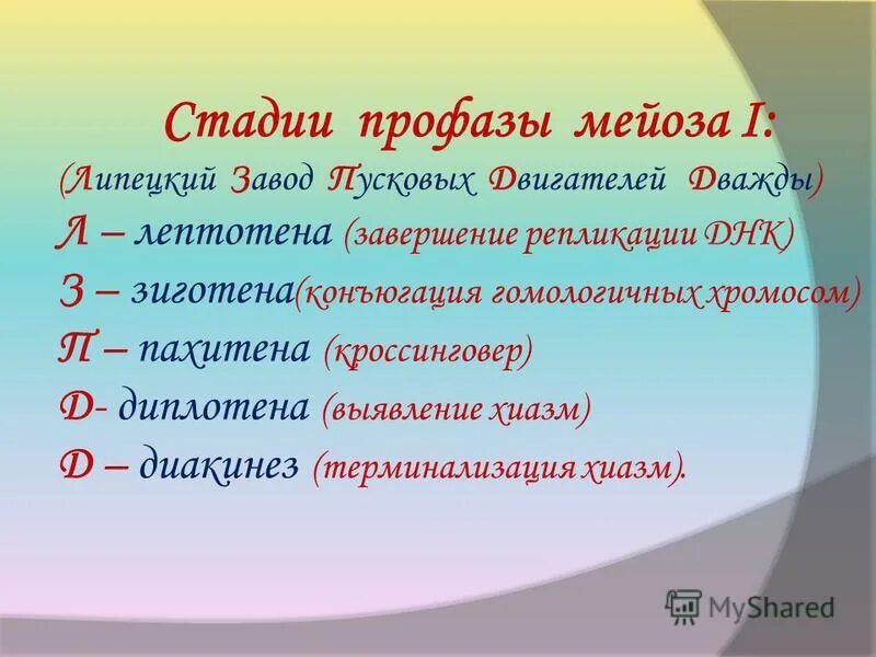 Фазы профазы. Фазы профазы. Фазы профазы 1. Мейоз лептотена зиготена пахитена диплотена диакинез таблица. Мейоз лептотена зиготена пахитена диплотена диакинез таблица.