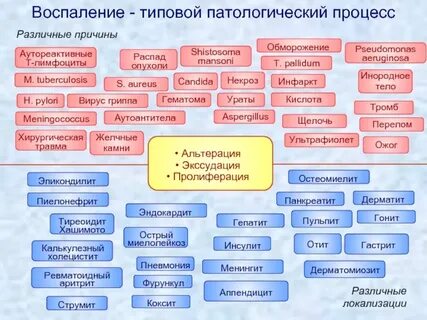 Патологические процессы у человека