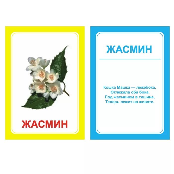 Мой сосед логопед игра. Логопедические карточки &quot;логопедка &quot;ж&quot;. набор карточек вундеркинд с пелёнок логопедка ж 10x7 см 30 шт.. карточки для логопеда. карточки логопедические с картинками.