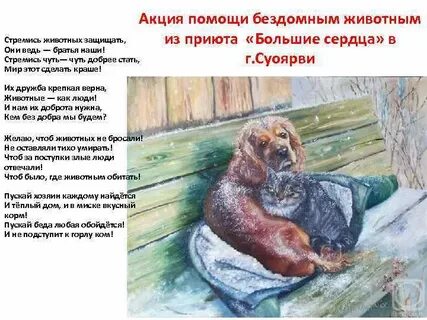 Текст о помощи животным