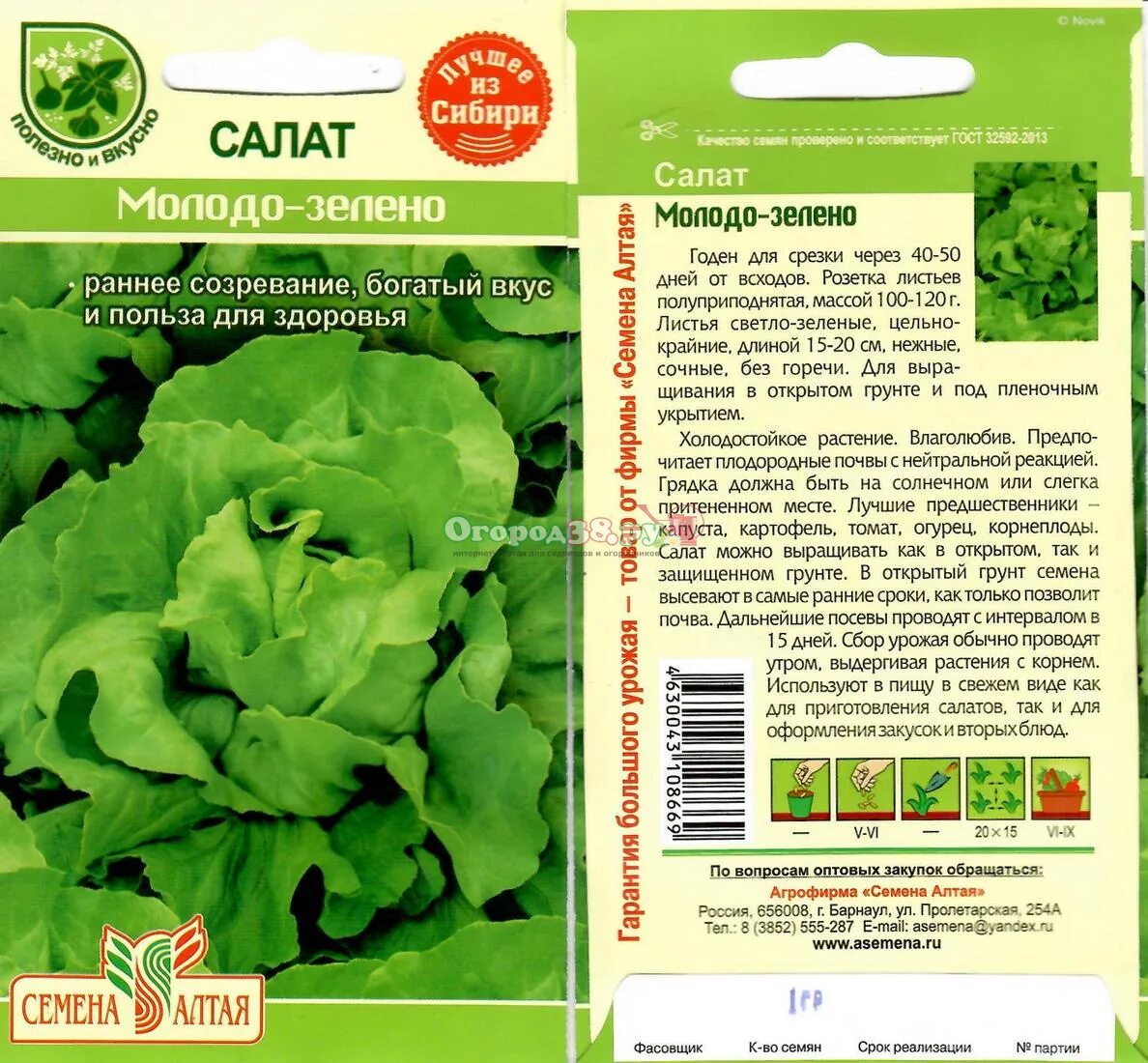 Название листовых салатов