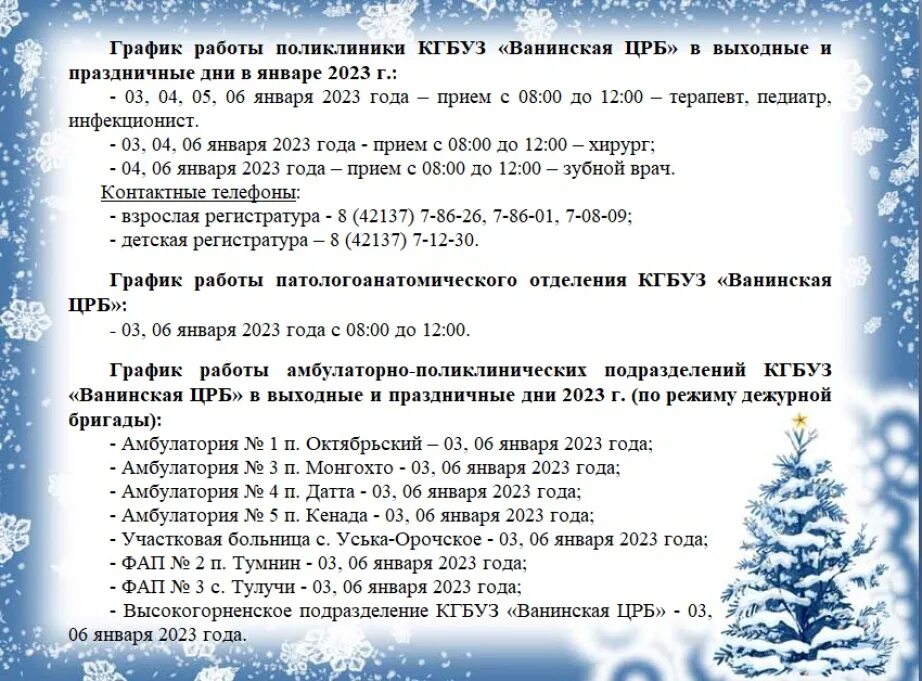КГБУЗ "Ванинская ЦРБ" доводит до сведения населения график работы аптеки № 33 (п
