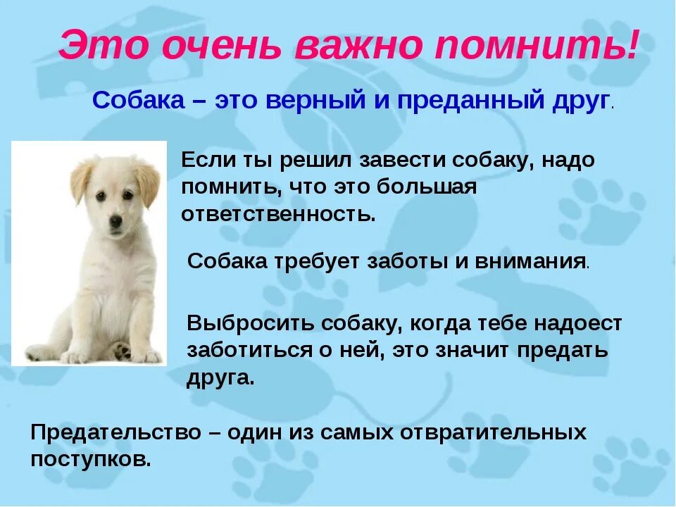Сочинение моя любимая собака 5 класс. Проект про собак. Собака для презентации. Доклад про собаку. Презентация на тему собаки.