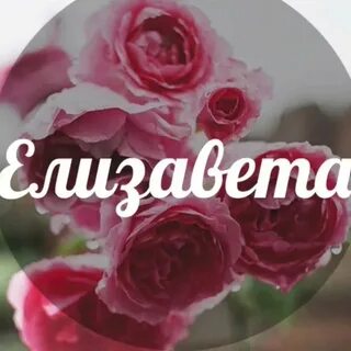 Люблю елизавету