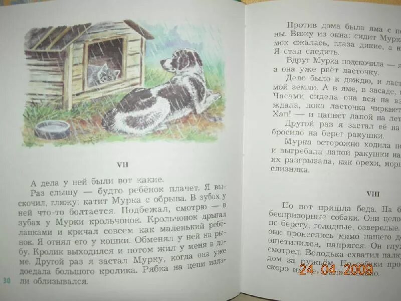 Паустовский о животных 3 класс. Рассказы Паустовского о животных Паустовского. Паустовский книги о животных. Паустовский рассказы о животных книга. Маленькие рассказы Паустовского про животных.